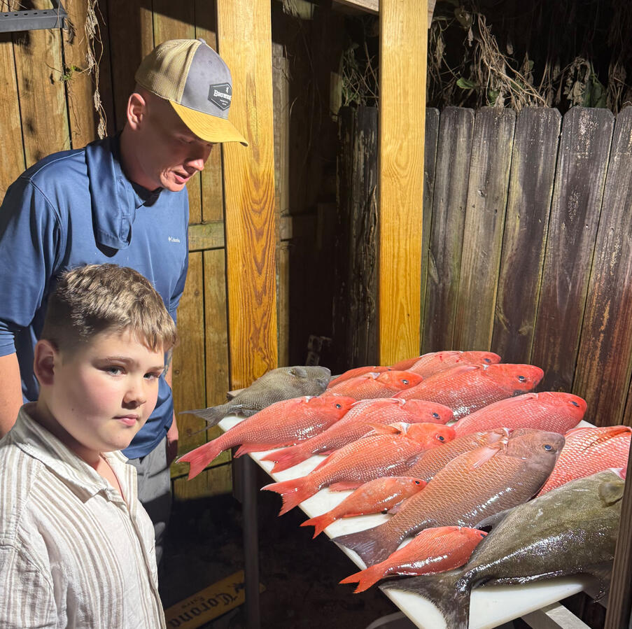 Limit of Snapper &amp; Mingo