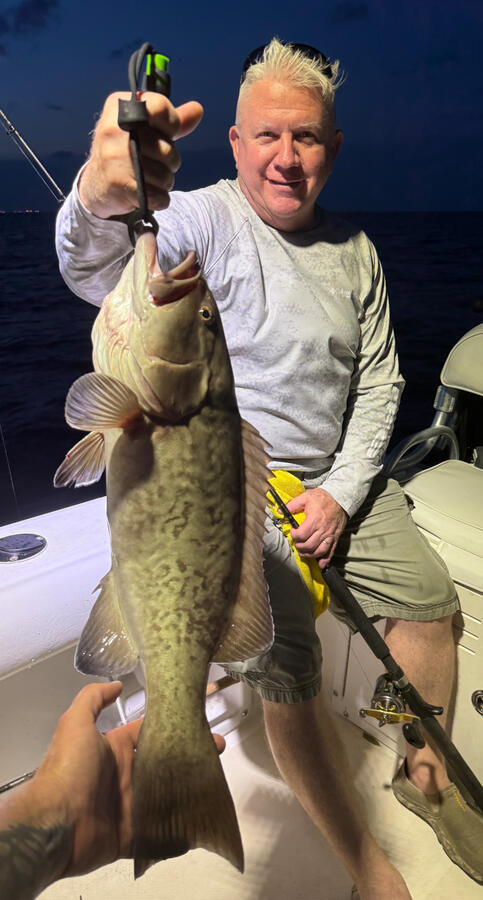 Gag Grouper on a night trip